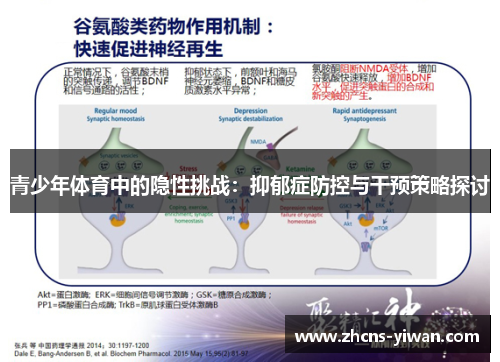 青少年体育中的隐性挑战：抑郁症防控与干预策略探讨