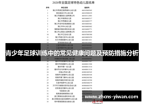 青少年足球训练中的常见健康问题及预防措施分析