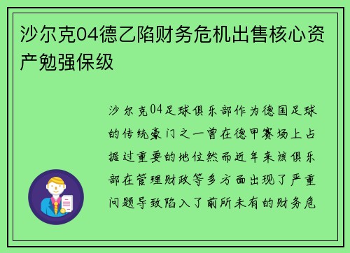沙尔克04德乙陷财务危机出售核心资产勉强保级